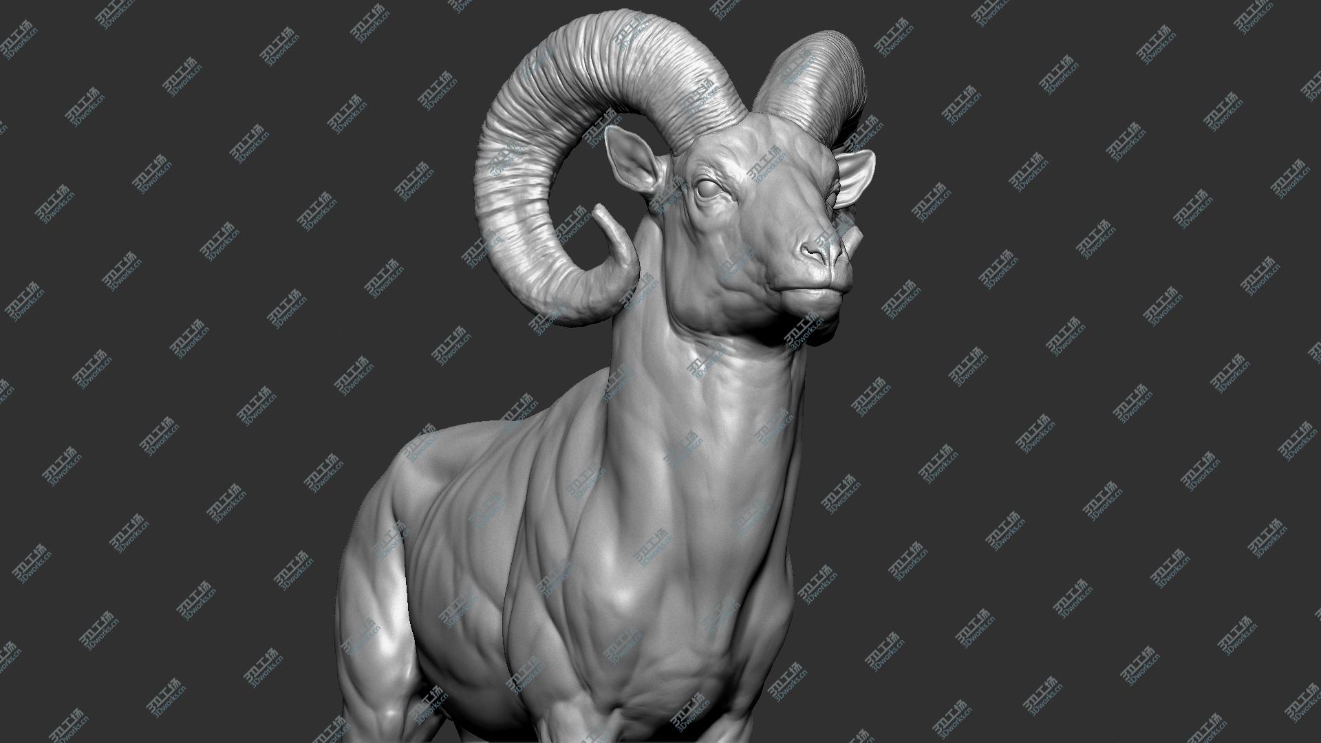 images/goods_img/2021040231/Bighorn sheep muflon model/5.jpg